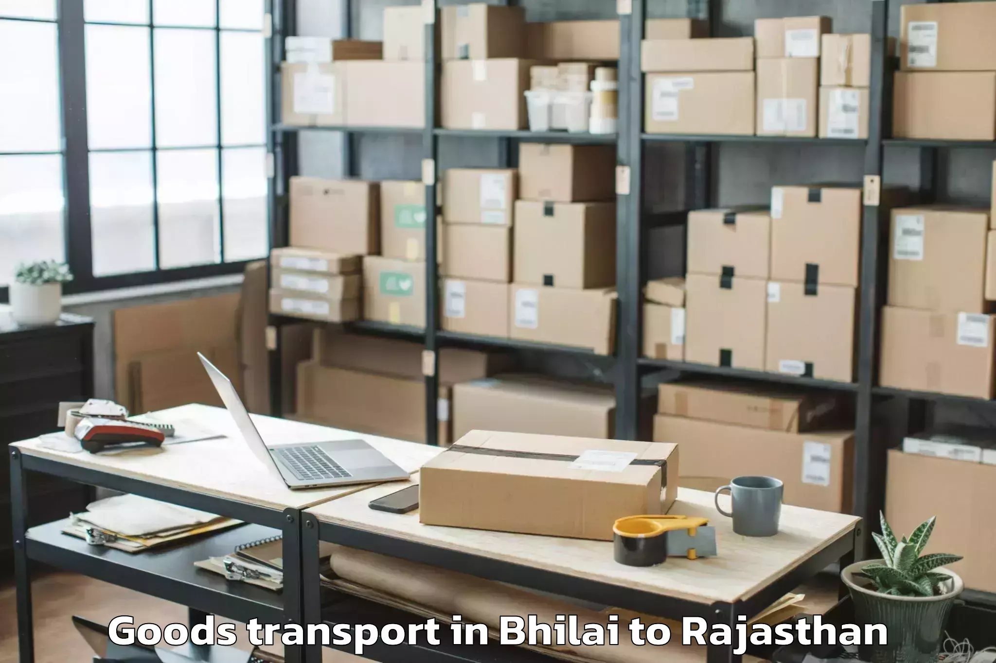 Efficient Bhilai to Raffles University Neemrana Goods Transport